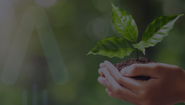 Blog artykuł miniatura Lower electricity bills.Is that even possible?