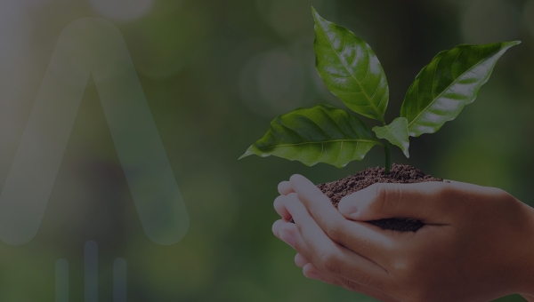 Blog artykuł miniatura Niższe rachunki za energię elektryczną<br>- czy to w ogóle możliwe?