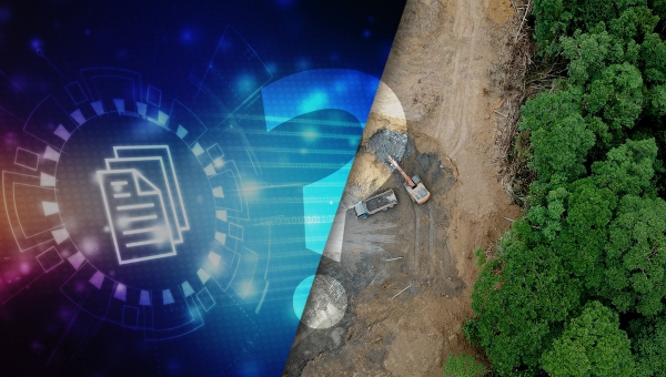 Blog miniatura Digitization or deforestation? Electronic project management systems.