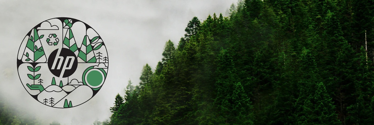 Logo HP na tle lasu