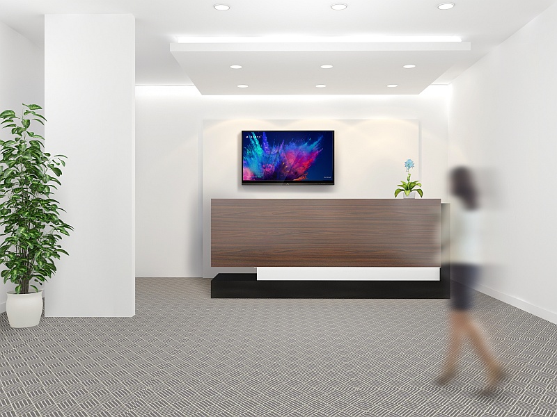 Recepcja z telewizorem